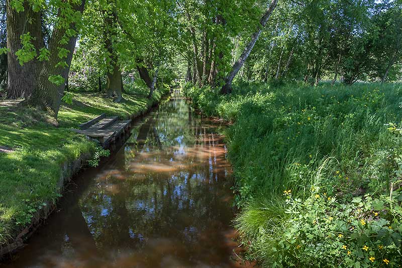 Fließ in Raddusch Spreewald